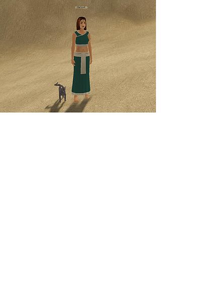 File:The cat.jpg