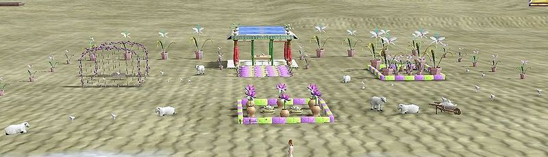 File:Mon jardin T3.jpg
