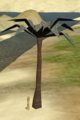 Chakkanut Tree.png