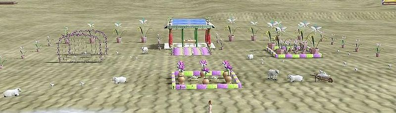 File:Mon jardin sur T3 reduc.JPG