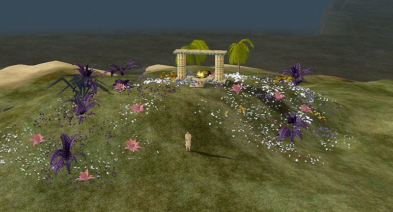 File:Mountain flower.jpg