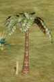 Broadleaf Palm.png