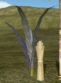 440px-Sugarcane.png