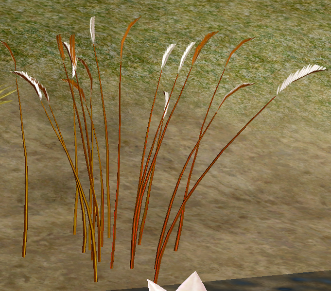 File:MilkWeed.png