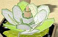 Thumbnail for version as of 21:22, 28 October 2011