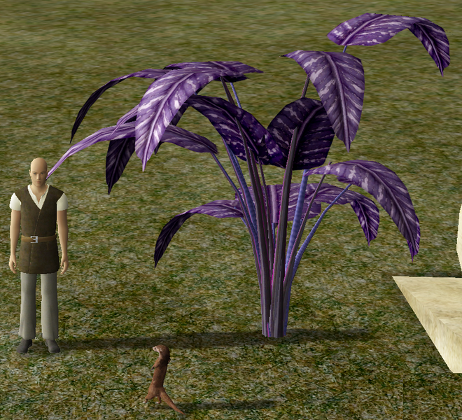 File:VioletBard.png