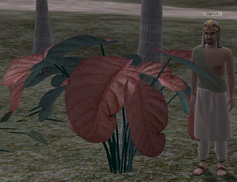 File:Tangerine dream night.png