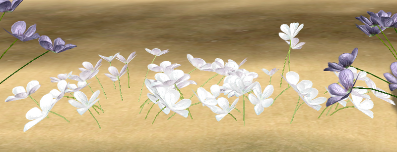 File:PaleMorningbell.png