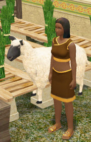 VarLetha posing with friendly sheep