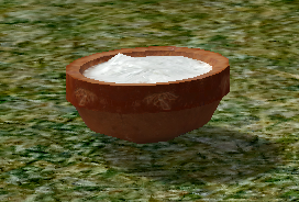 CoconutMeat.png