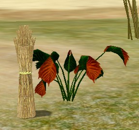 CrimsonPipeweed.jpg