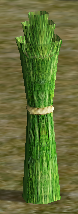 Grass.png