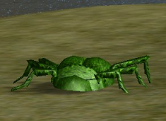Freckled Beetle.PNG