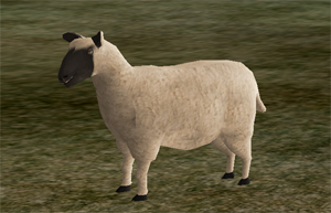 Sheep.png