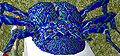 Thumbnail for version as of 17:08, 31 July 2013