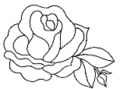 Fleur-de-rose2.png