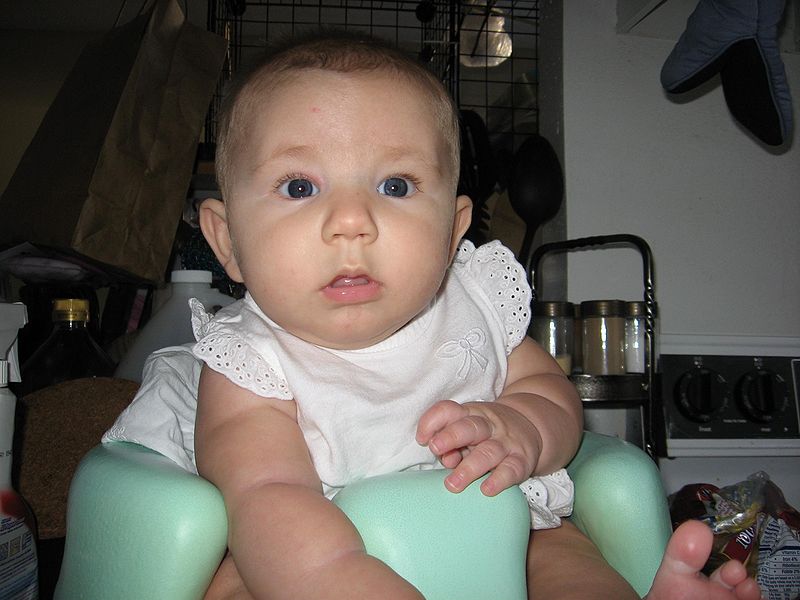 File:Kitchenhelper.jpg