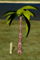 Windriver Palm.png