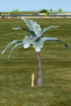 Delta Palm.png