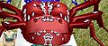 Beetle OverGrownCrosses2.JPG