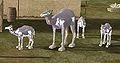 Thumbnail for version as of 04:06, 26 May 2014