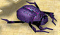 Ragsfirstlevelbeetle1.jpg