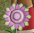 Thumbnail for version as of 05:55, 20 May 2011