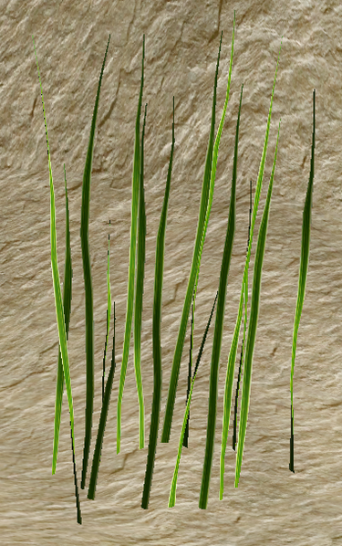 File:RiverReeds2.png
