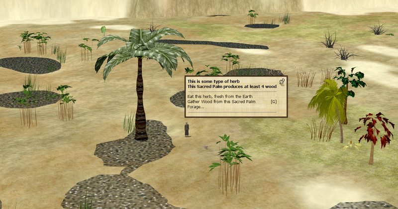 File:Sacred Palm In VoK.png
