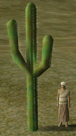 RoyalCactus.png