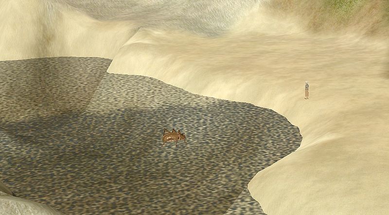 File:Waterbug.jpg