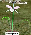 Thumbnail for version as of 18:47, 14 May 2013