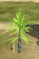 Spiked Fishtree.png