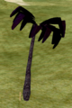 Ash Palm.png