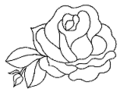 Fleur-de-rose.png