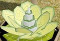 Thumbnail for version as of 20:23, 18 May 2011