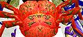 Beetle MotifFromCurl2.JPG
