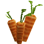 Sp carrots.png