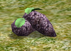 Grapes.png