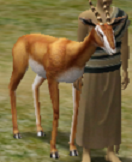 Gazelle.png