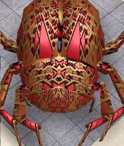 Boscarab.jpg