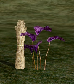 Herb purple tintiri.jpg