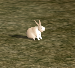 Rabbit.png