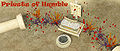 Thumbnail for version as of 17:55, 7 April 2016