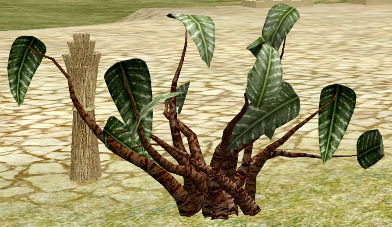 File:Cinnamon.png