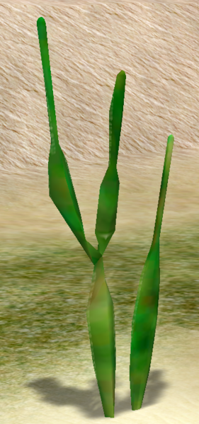 File:OldHandsCactus.png