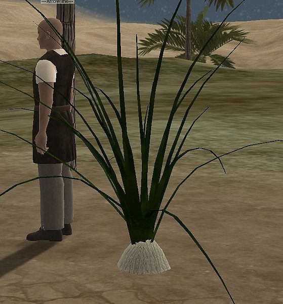 File:Wildonion.jpg
