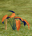 Thumbnail for version as of 02:00, 20 November 2015