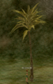 Phoenix Palm.png