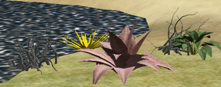 Plants.png